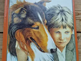 Lassie finder hjem BOG