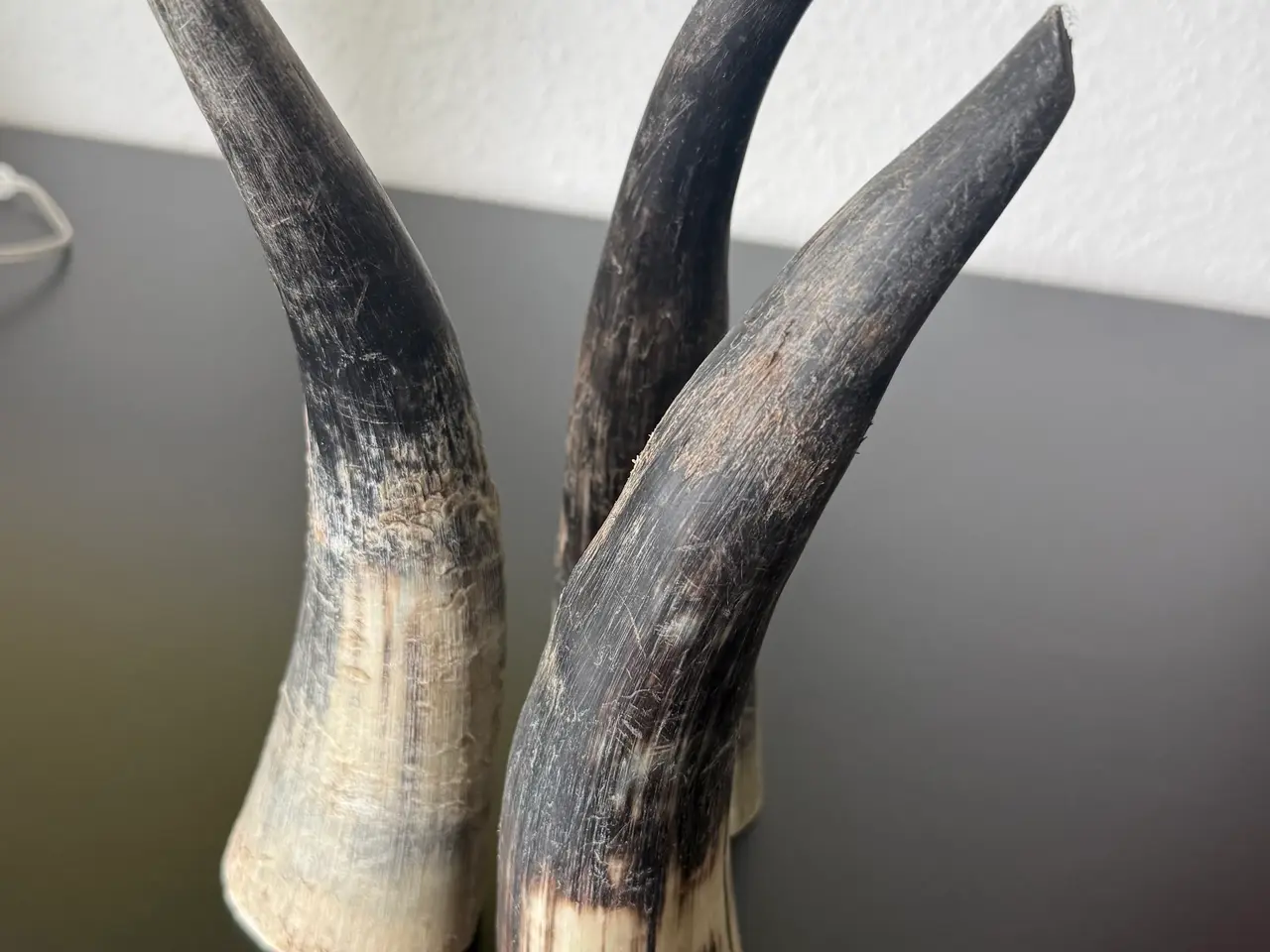 Billede 1 - 3 stk. Horn