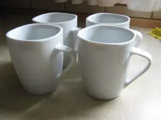 Krus