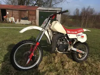 Crosser projekt købes