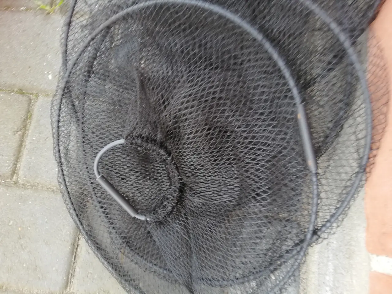 Billede 2 - Opbevaring af Fisk
