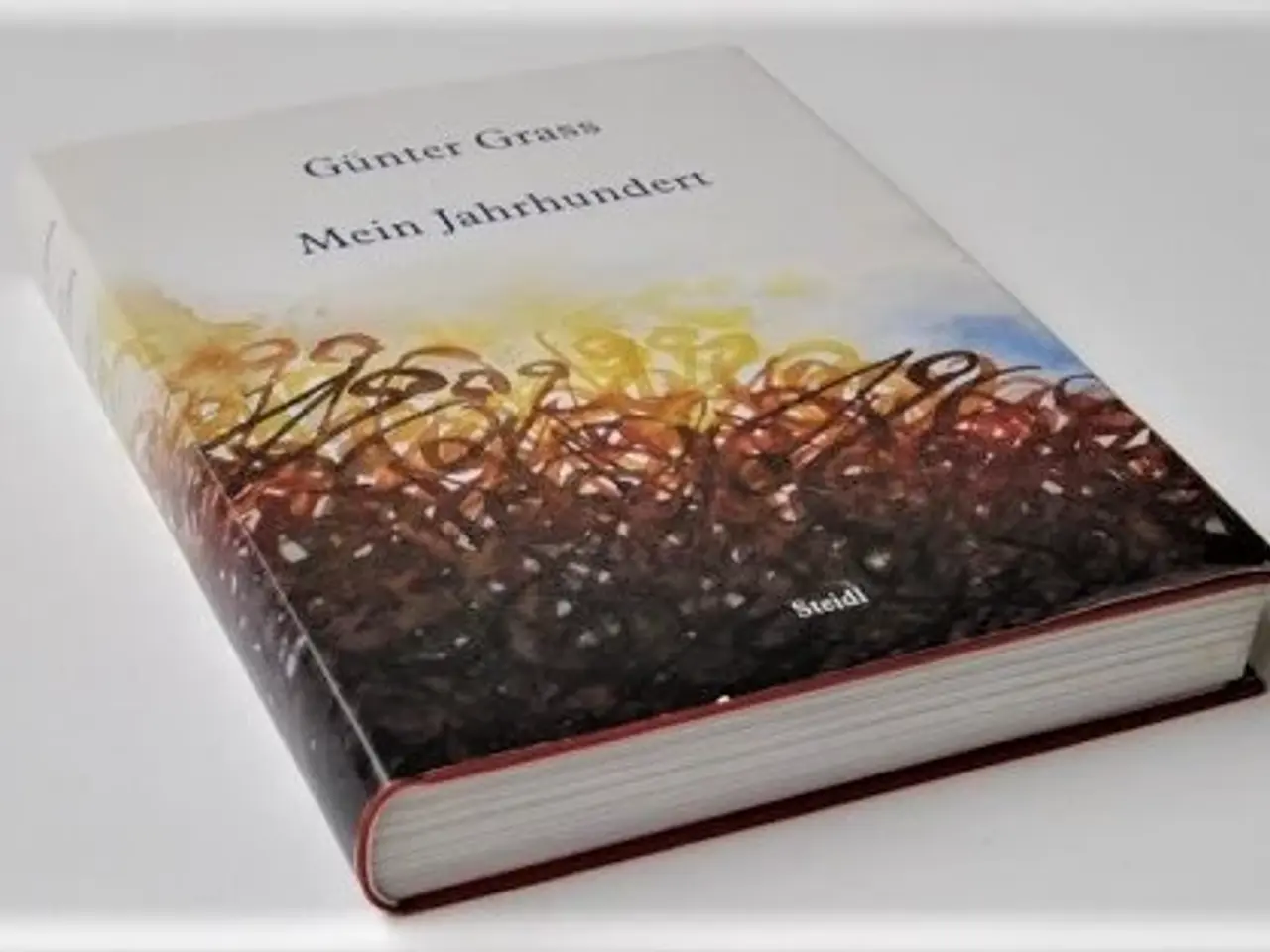 Billede 2 - Mein Jahrhundert af Günther Grass (tysk)