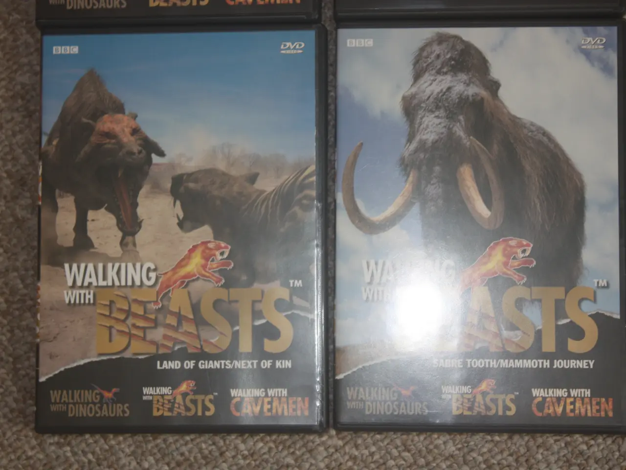 Billede 3 - Walking With Beasts BBC Series 4 DVD