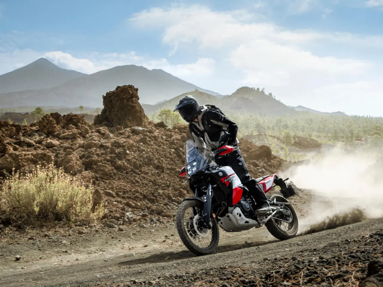 Billede 7 - Yamaha Ténéré 700 World Raid