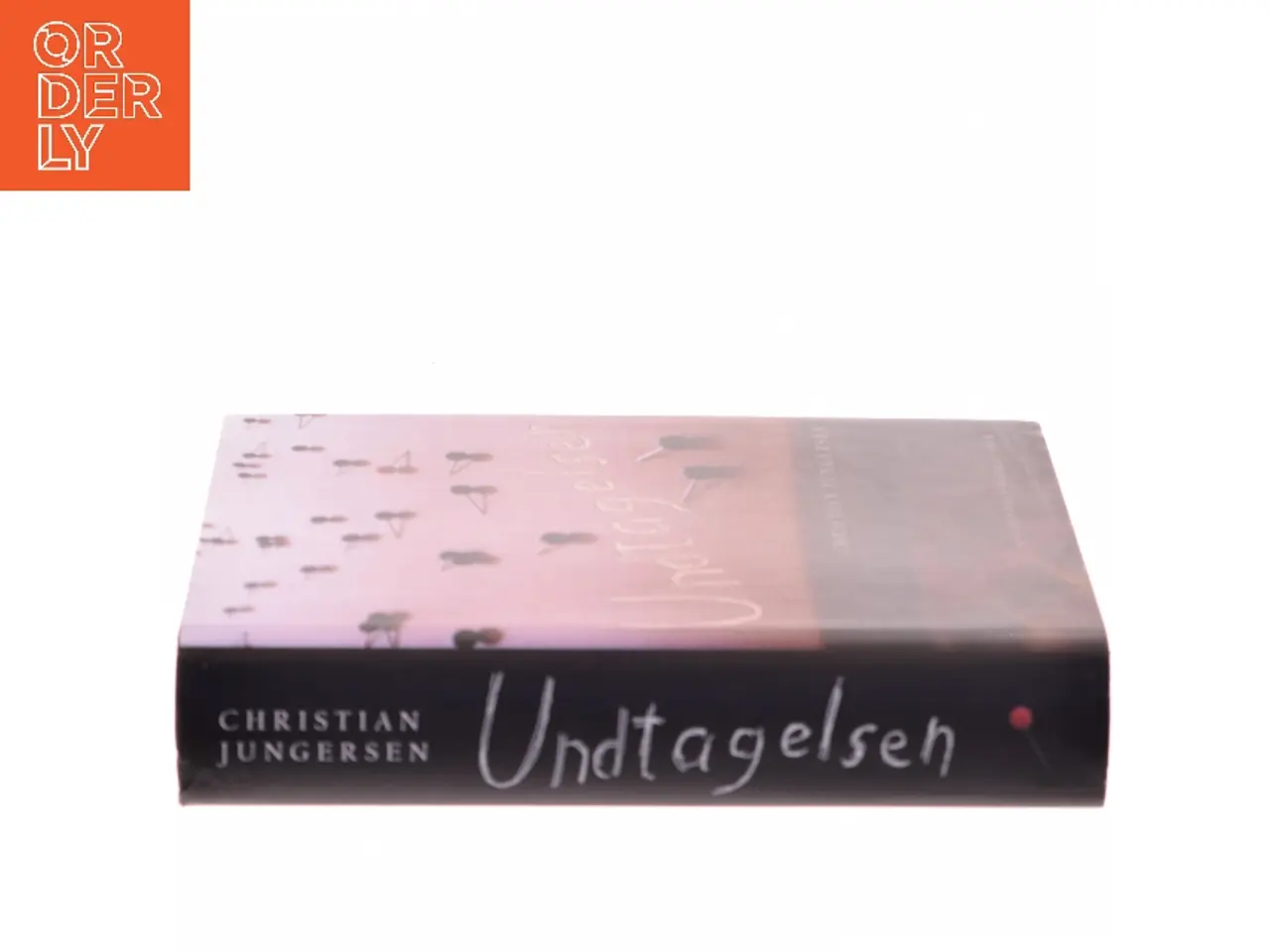 Billede 2 - Undtagelsen : roman af Christian Jungersen (Bog)