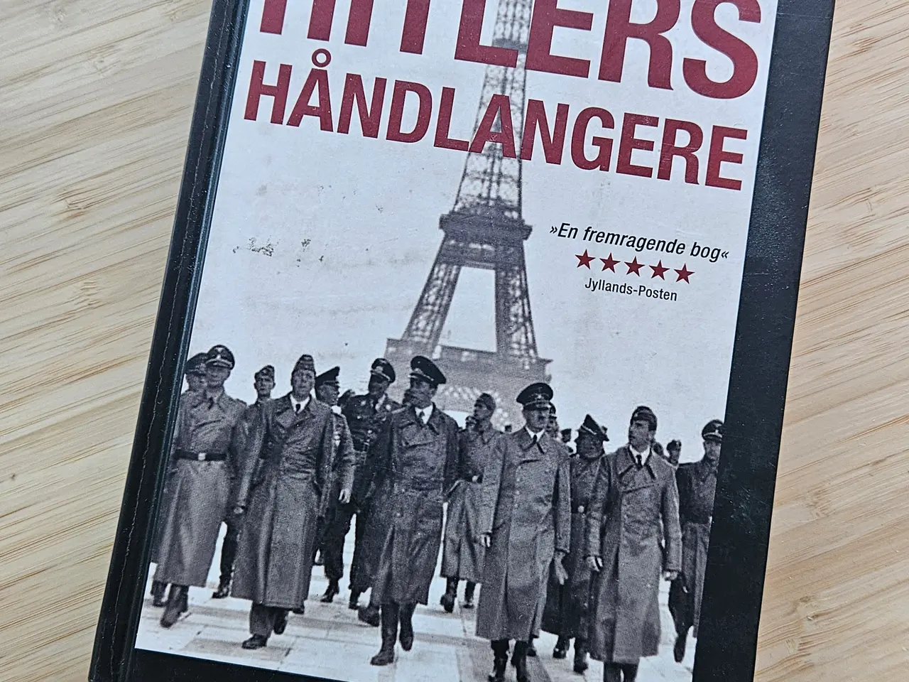 Billede 1 - 'En fremragende bog'