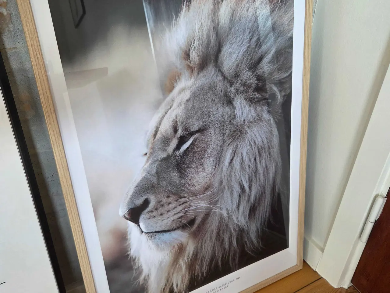 Billede 2 - Løve plakat m. Citat I ny ramme