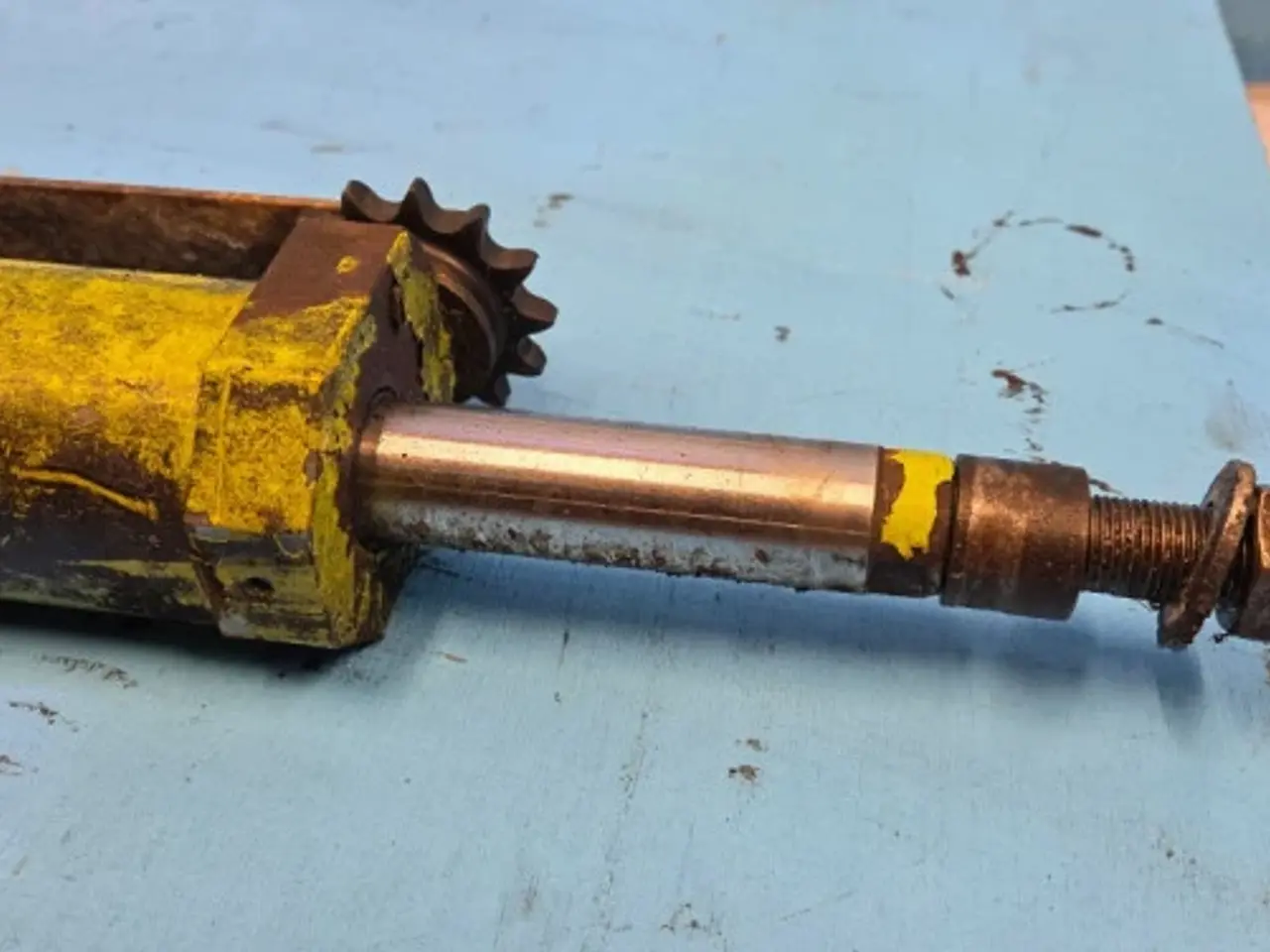 Billede 8 - Claas Jaguar 850 Cylinder 9878592