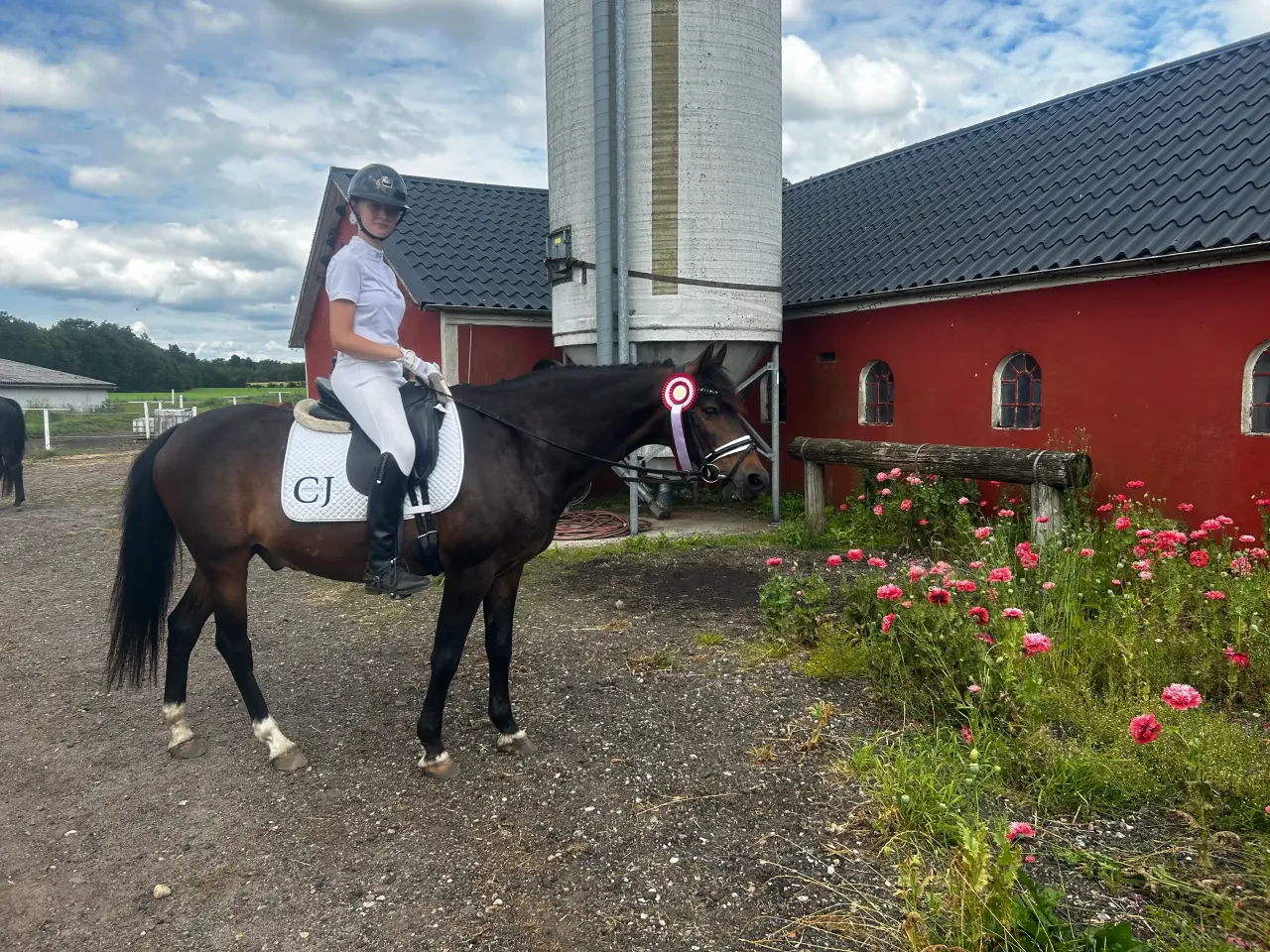 Billede 1 - Kat 1 pony eller hest