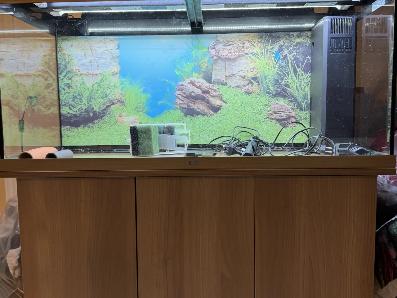 Billede 4 - Juwel Rio 180L + originalt akvariebord i lyst træ