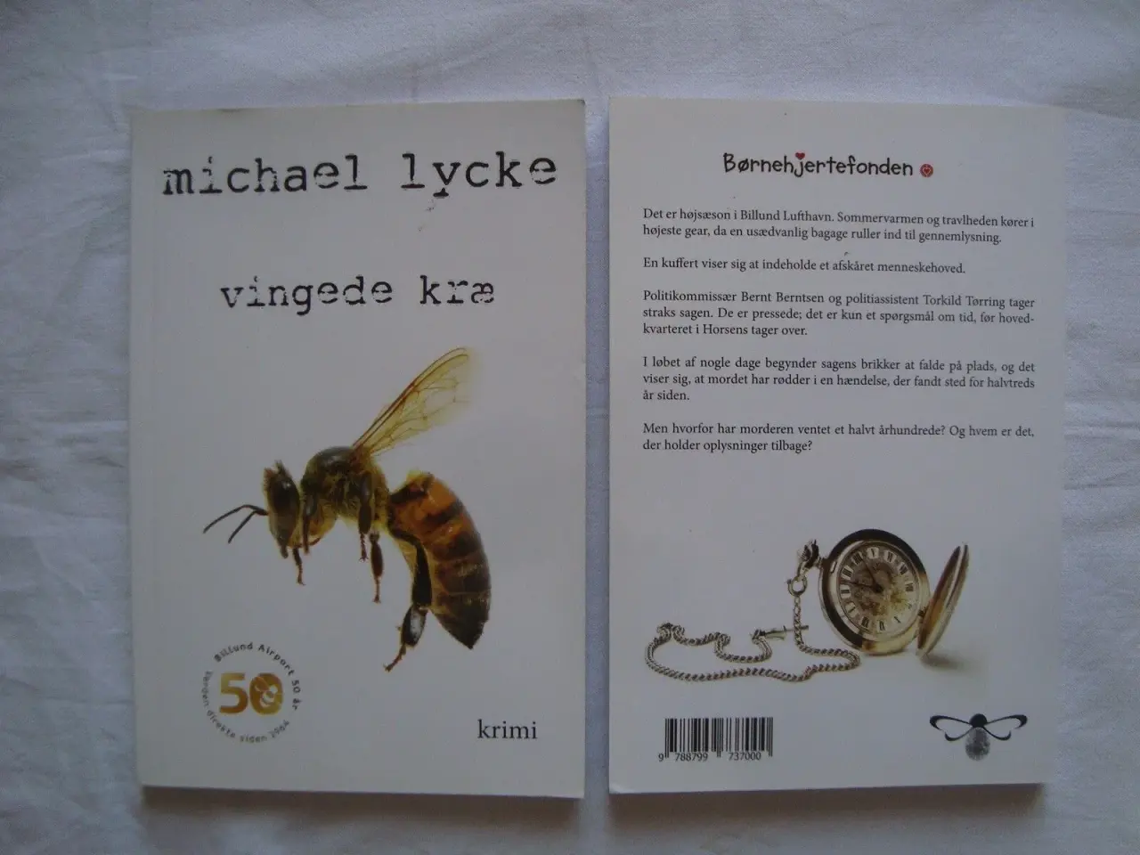 Billede 5 - Vingede Kræ, Billund Lufthavn :