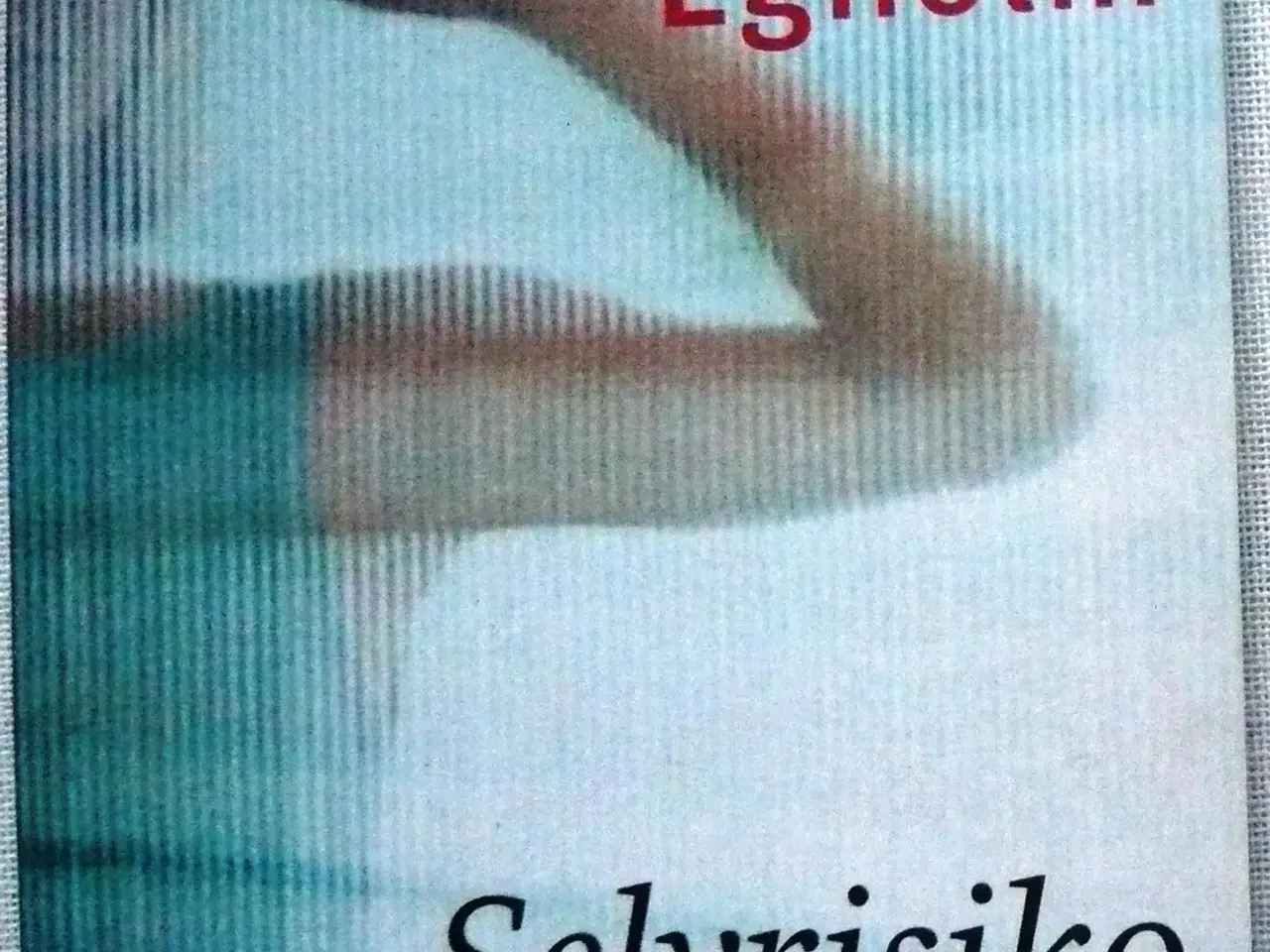 Billede 6 - MP3 lydbøger af Elsebeth Egholm