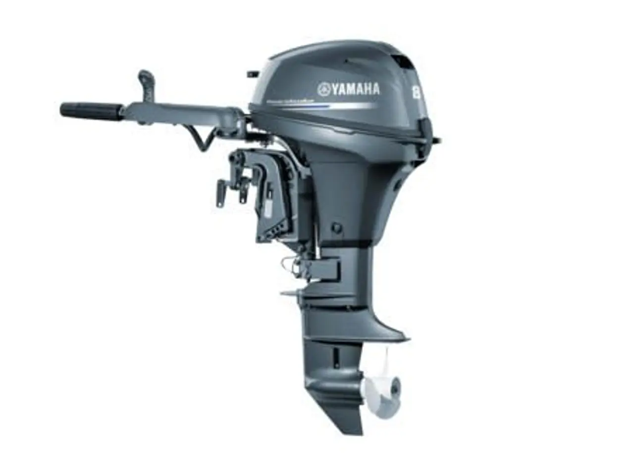 Billede 1 - Yamaha F8FMHS/L