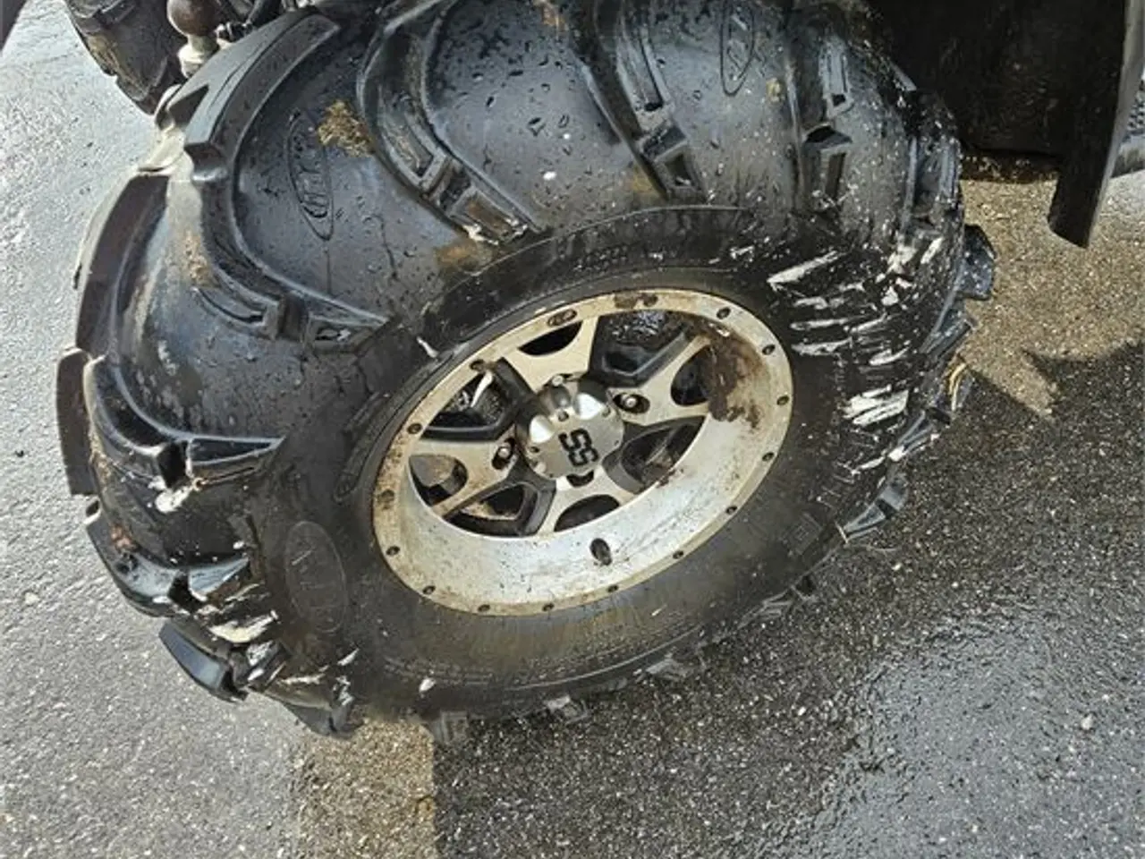 Billede 26 - Suzuki Kingquad 4x4 750 AXi