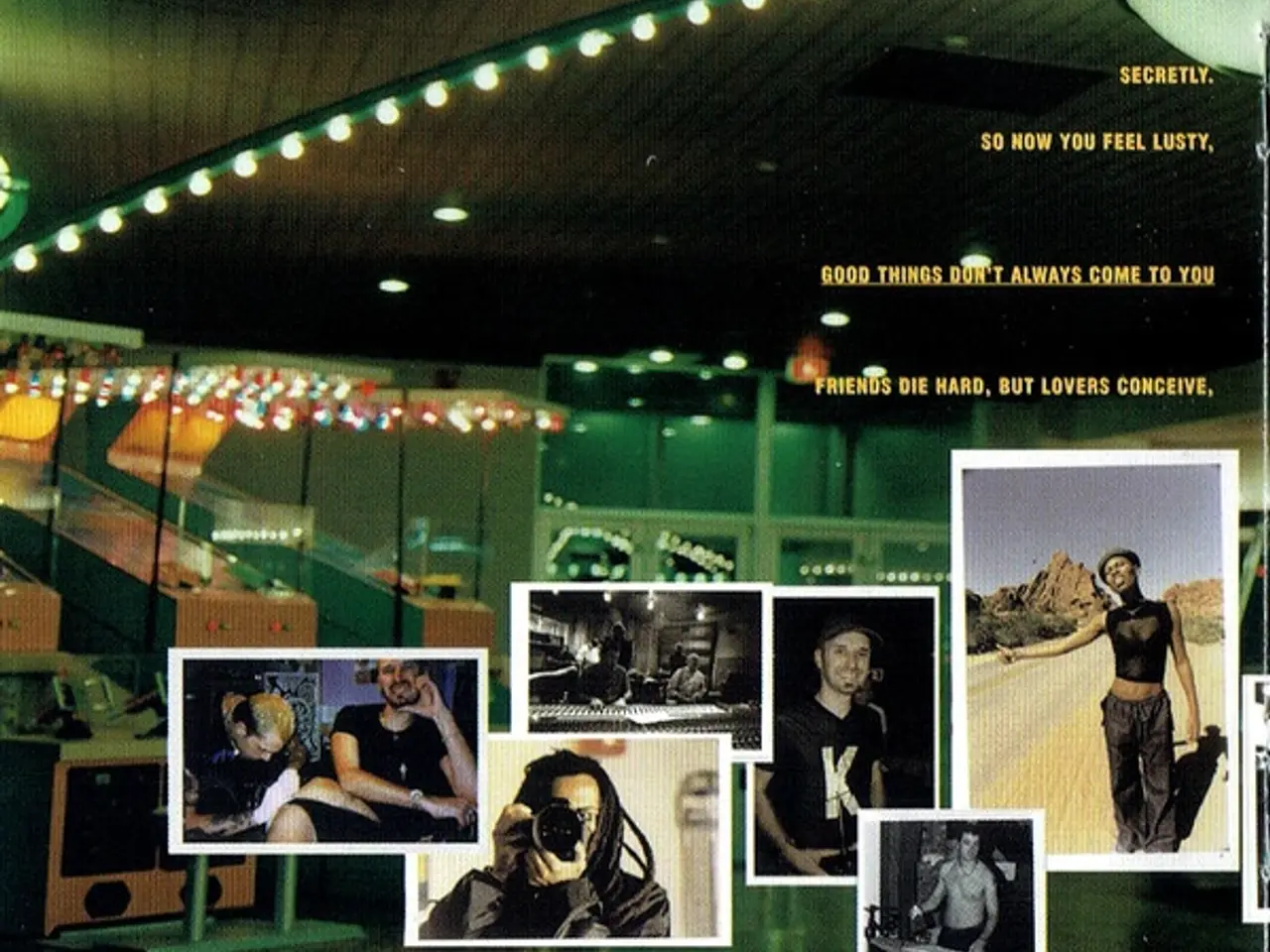 Billede 8 - Skunk Anansie – Post Orgasmic Chill – CD