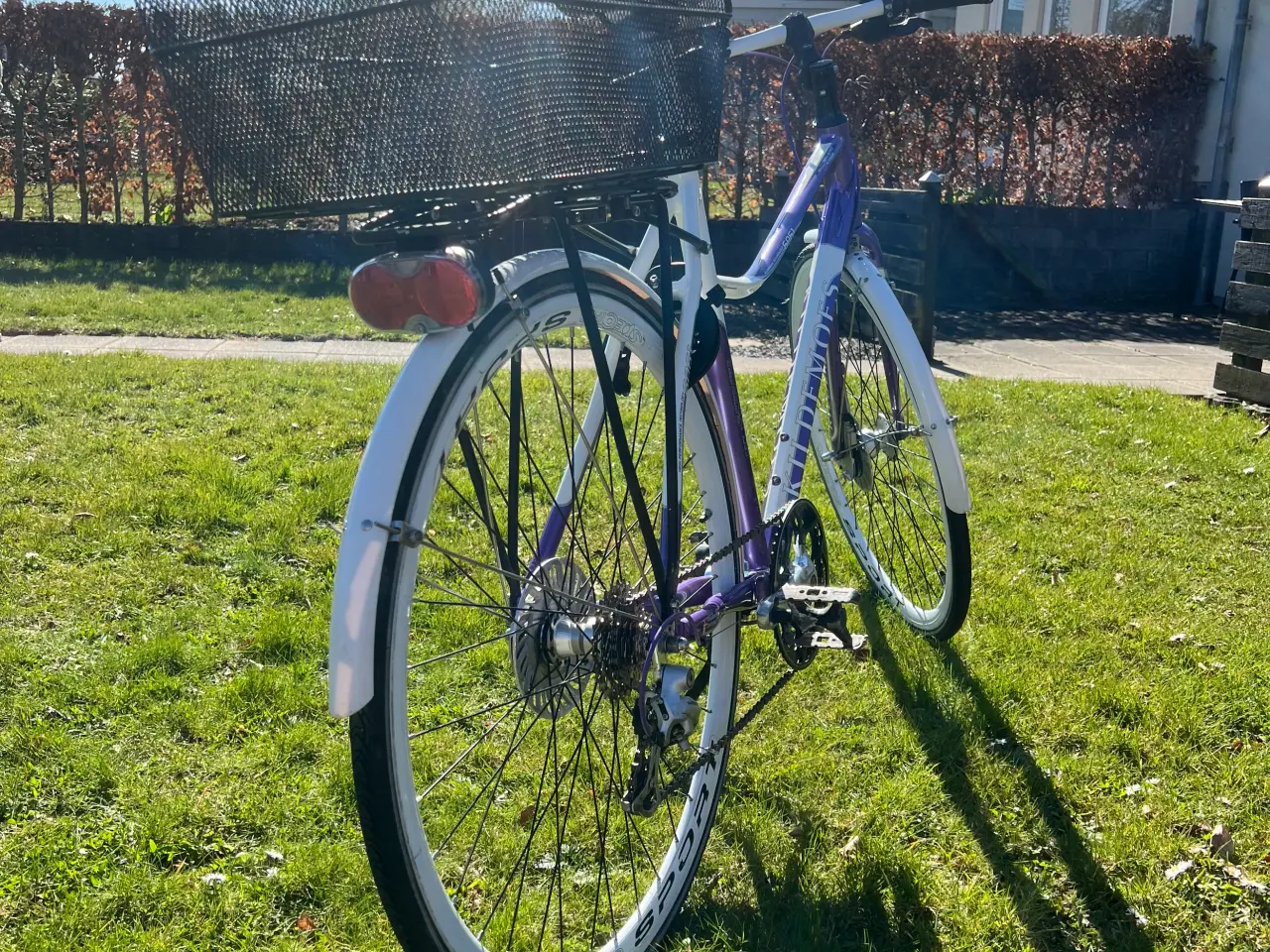 Billede 10 - Kildemoes locig sport