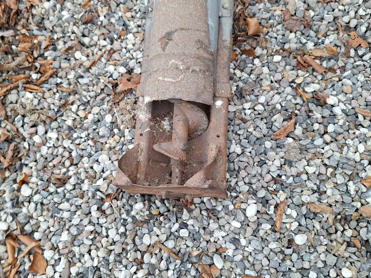 Billede 7 - Stor Kornsnegl "virker"