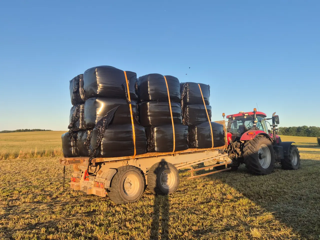 Billede 1 - Wrap 2025