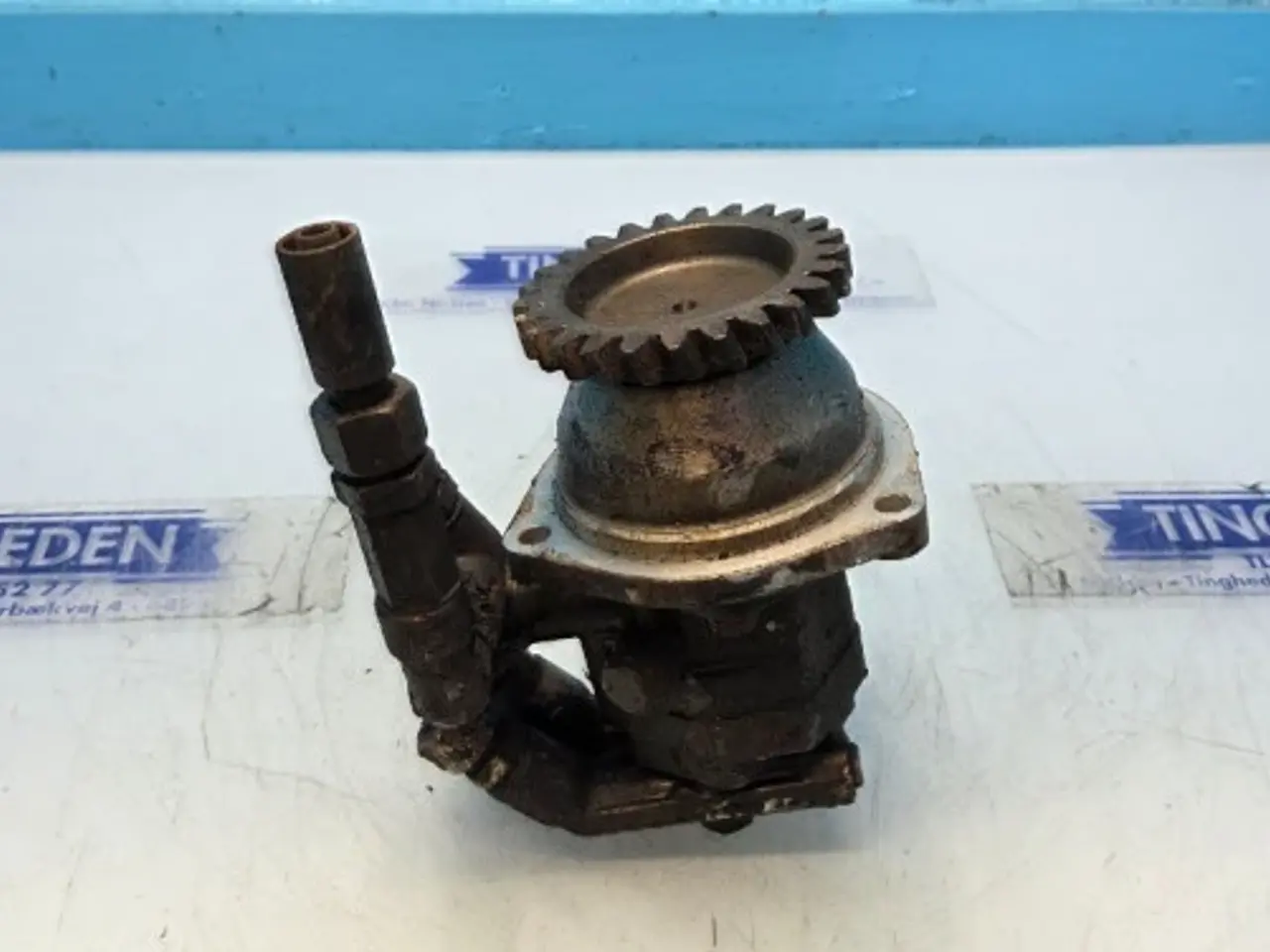 Billede 17 - Iveco Cursor 13 Brændstofpumpe 504040201