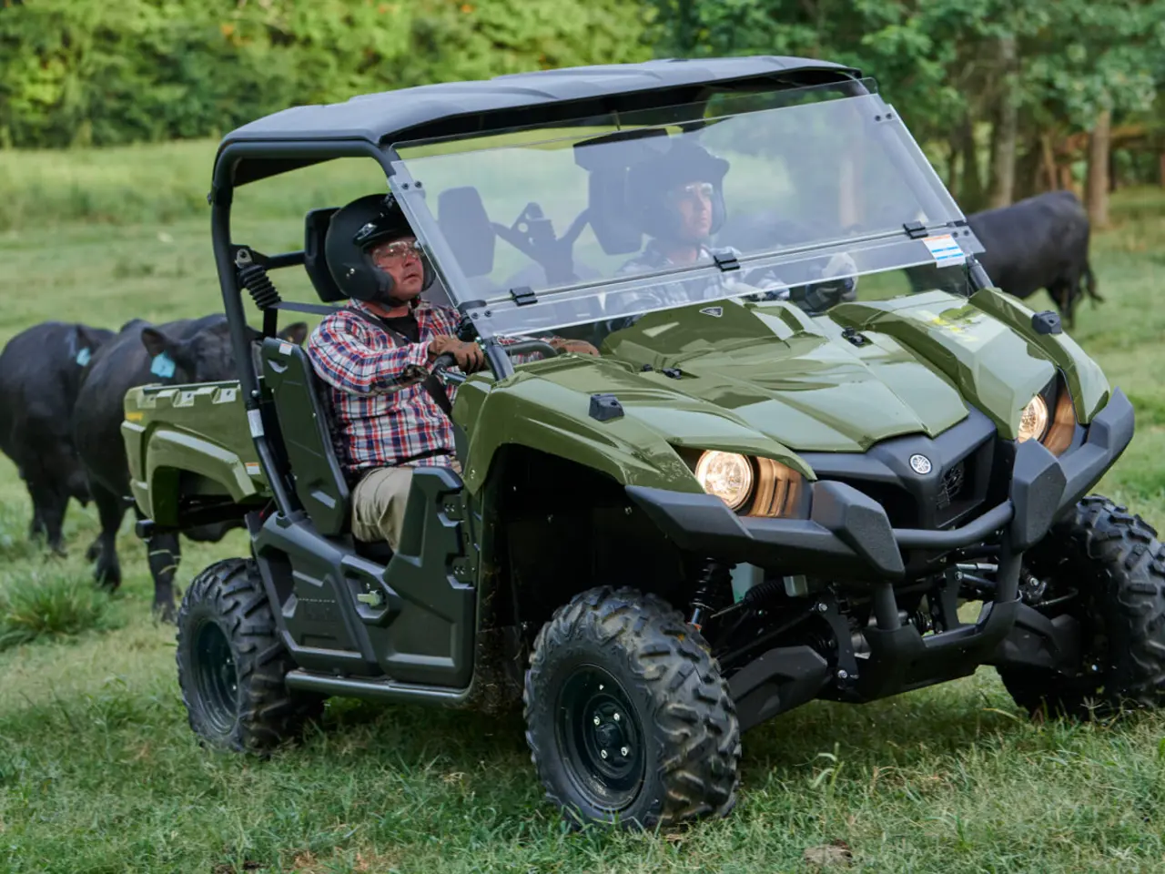 Billede 5 - Yamaha YXM 700 Viking EPS