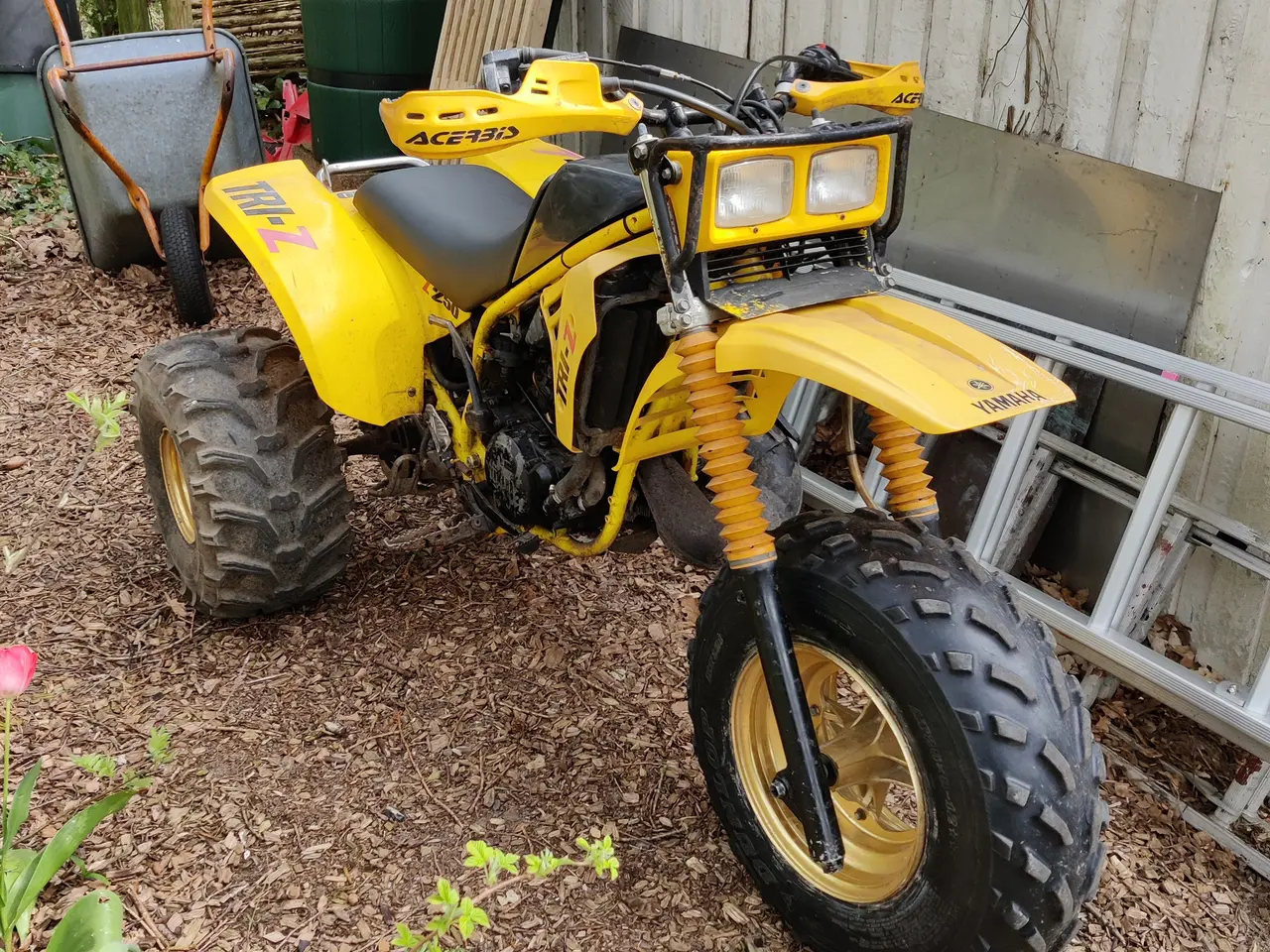 Billede 2 - Honda ATC KØBES