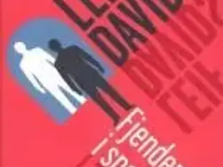 Fjenden i spejlet - Leif Davidsen