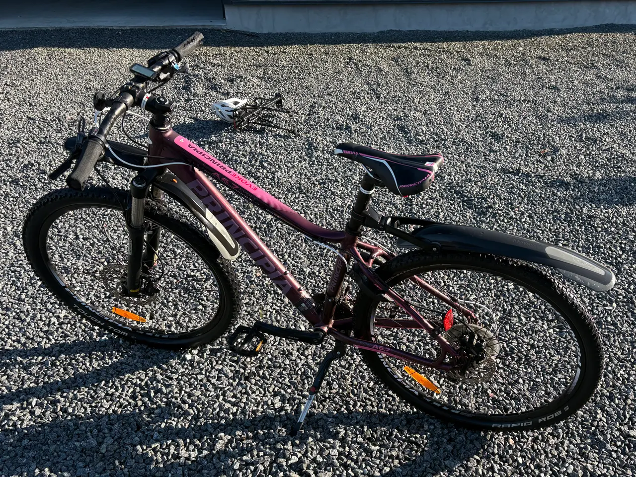 Billede 4 - Mountainbike til salg 