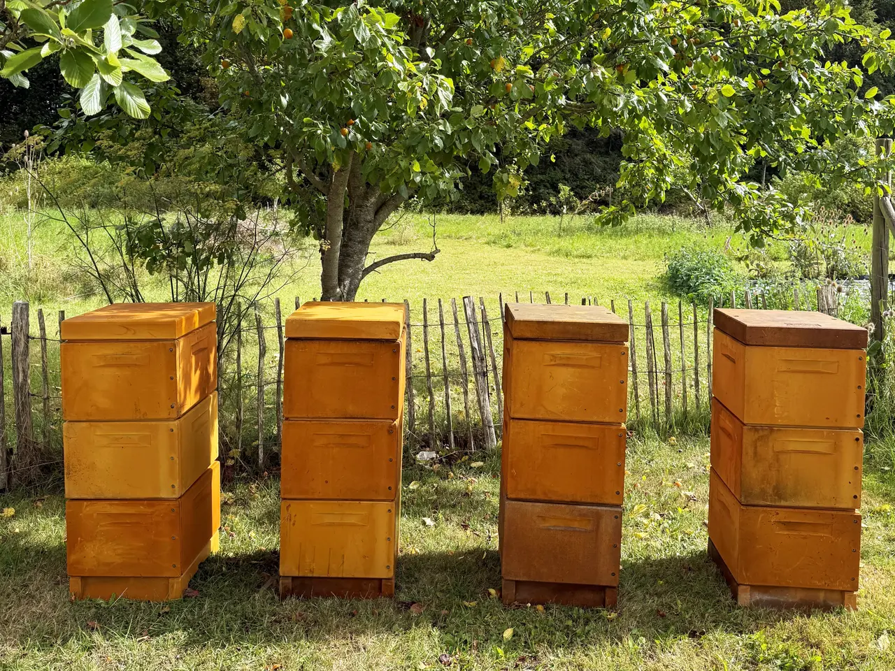 Billede 1 - Readan 12 x 10