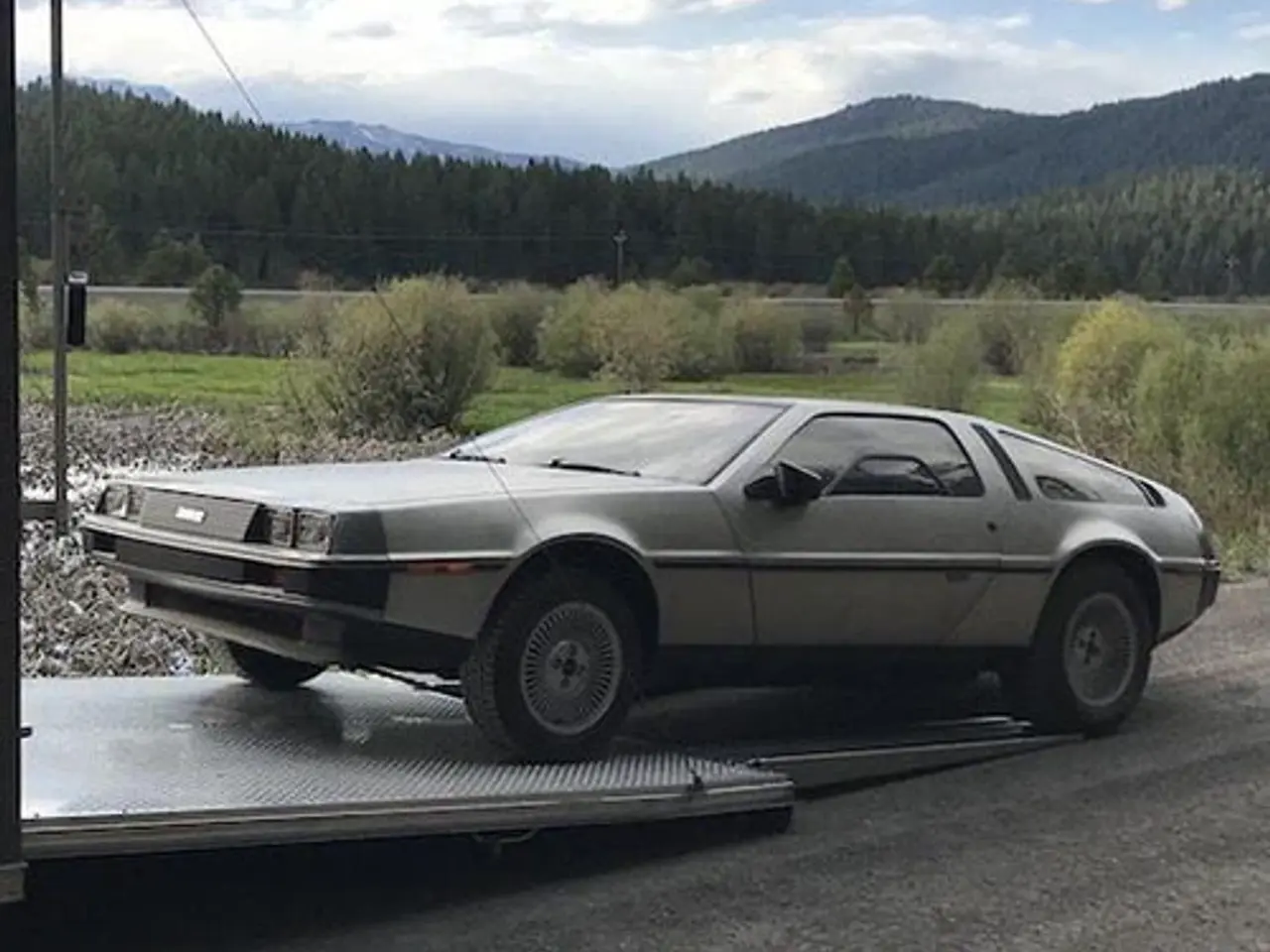 Billede 1 - Søger DeLorean