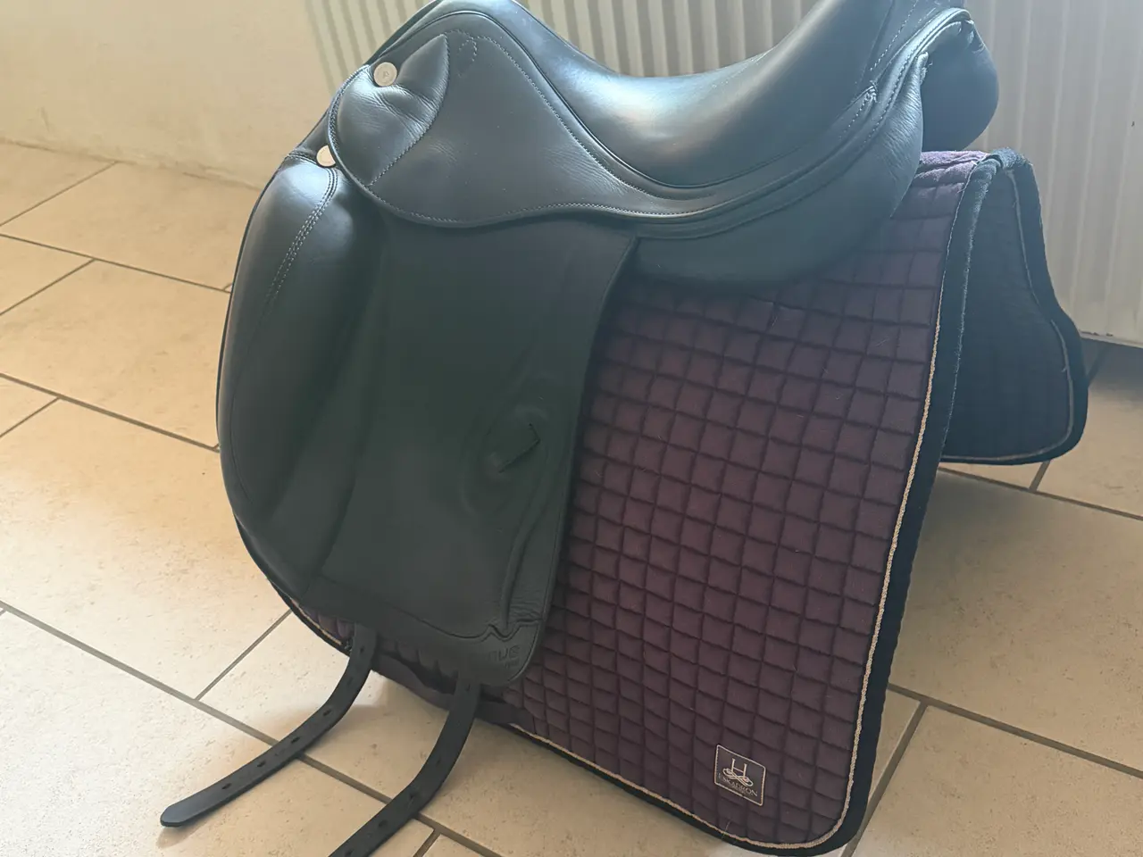 Billede 2 - Prestige Venus K