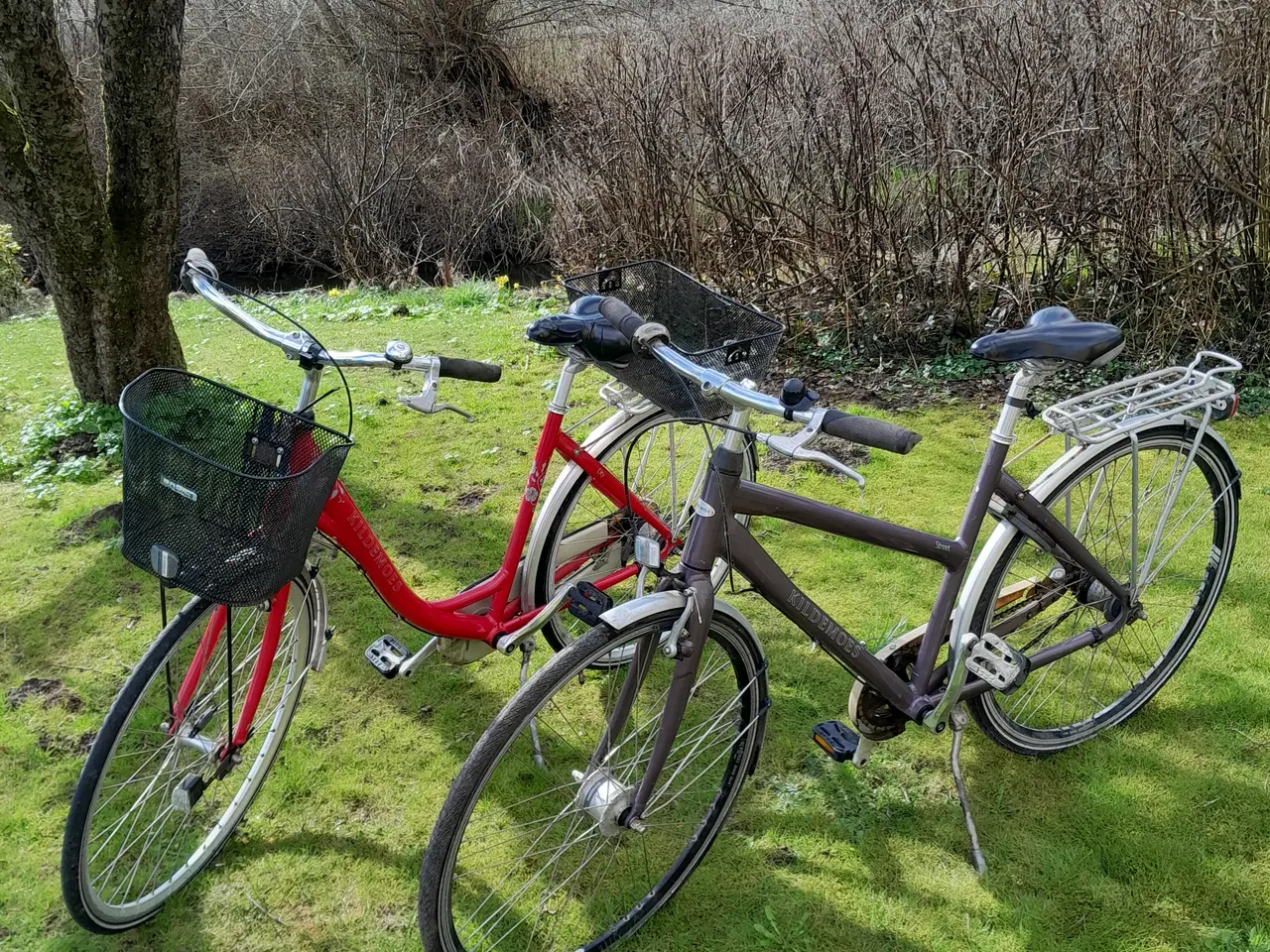 Billede 1 - To Dame cykler