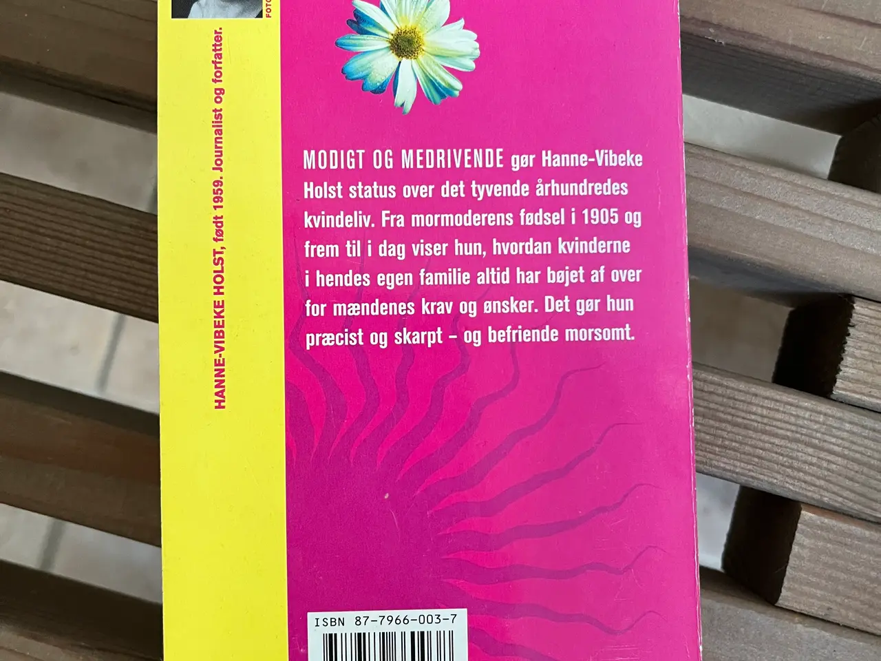 Billede 3 - Min mosters migræne 