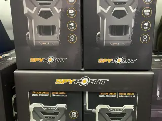 Vildtkamara spy point