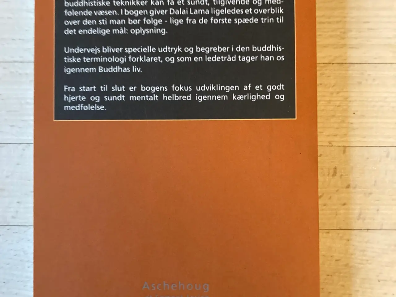 Billede 2 - Vælg hjertets vej, H H Dalai Lama