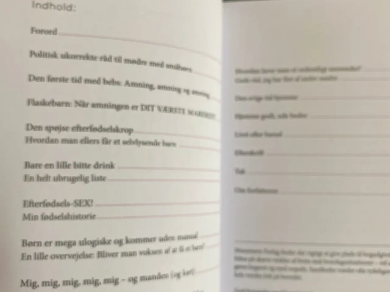 Billede 3 - Politisk ukorrekte råd til mødre bog af Mie Møller