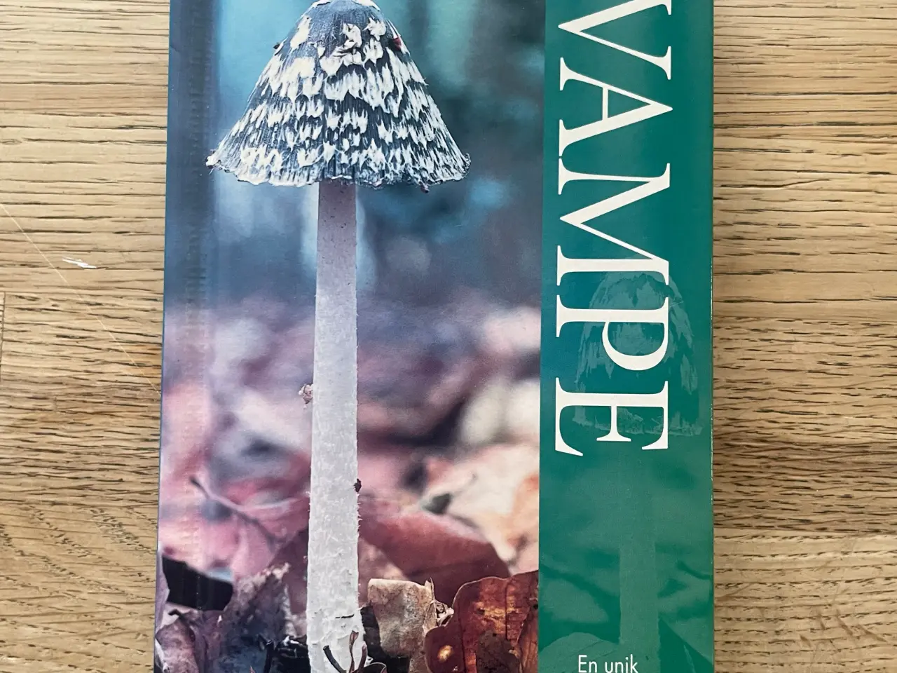 Billede 1 - Naturguide Svampe