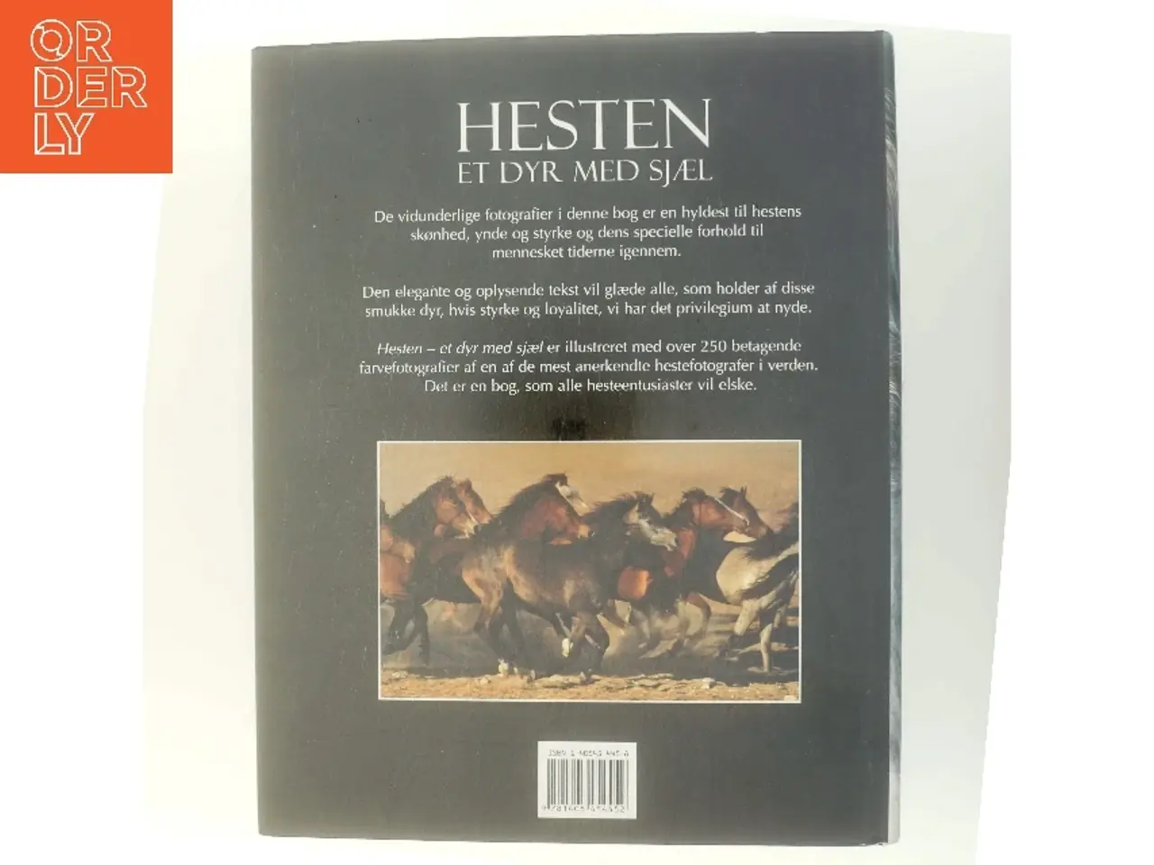 Billede 3 - Hesten : Et dyr med sjæl af <Bogens forfattere< (Bog)