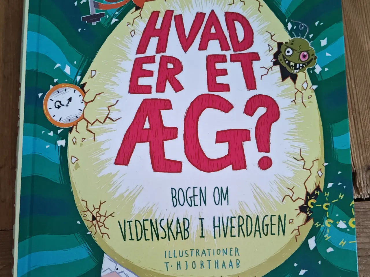 Billede 1 - Hvad er et æg ? BOG af Johan Olsen
