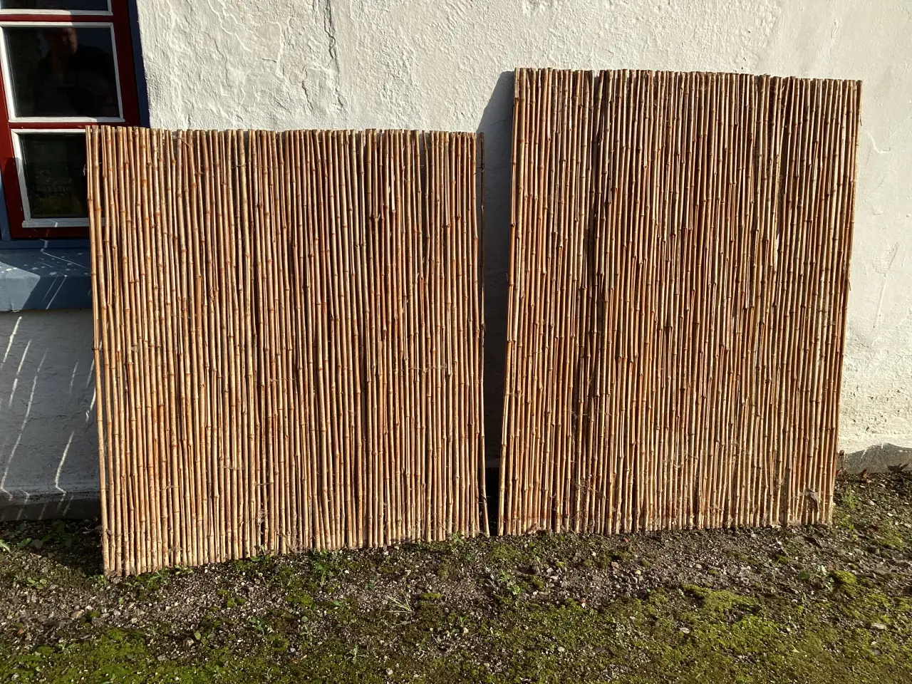 Billede 1 - Bambus hegn