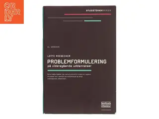 Problemformulering på videregående uddannelser af Lotte Rienecker (Bog)