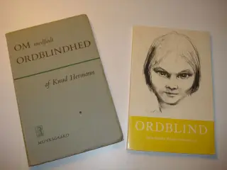 Ordblind