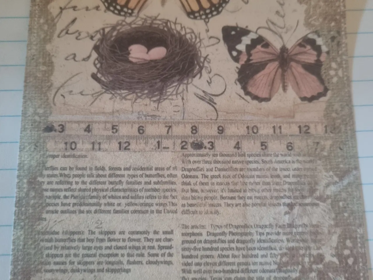 Billede 4 - Annonce 104 - Hobby