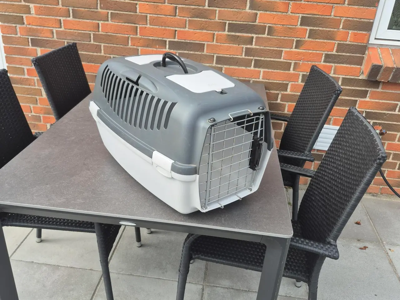Billede 1 - Transportkasse til mindre hunde f.eks Westi o.lign