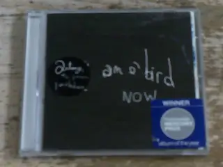 ANTONY AND THE JOHNSONS - I AM A BIRD NOW