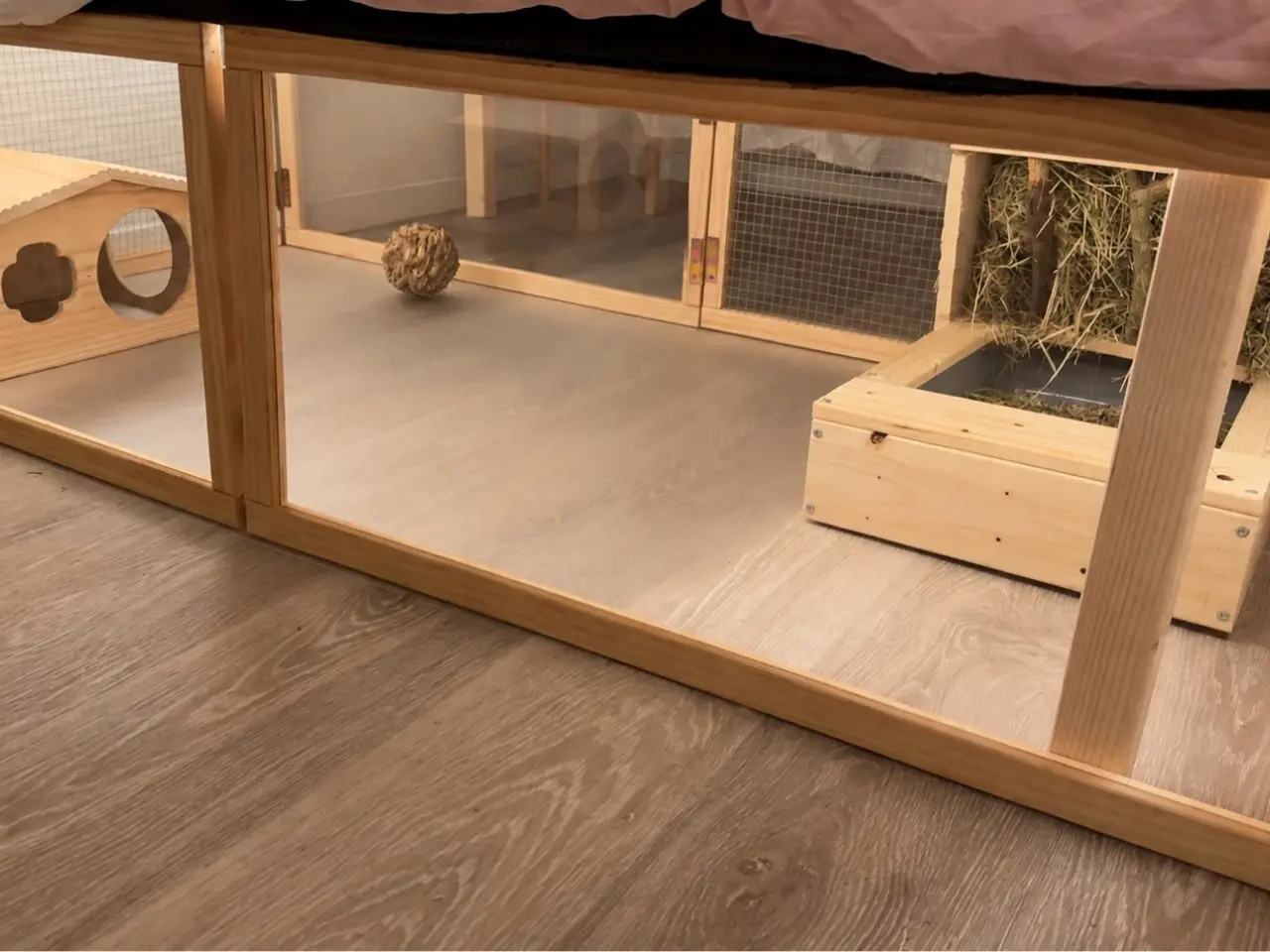 Billede 7 - Cute mini lop han