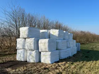 Super tørt øko heste wrap