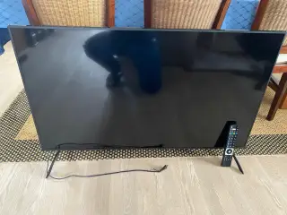 Prosonic 50" TV