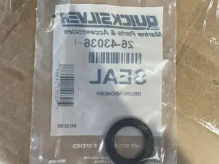 Quicksilver Seal Oil (Lower)