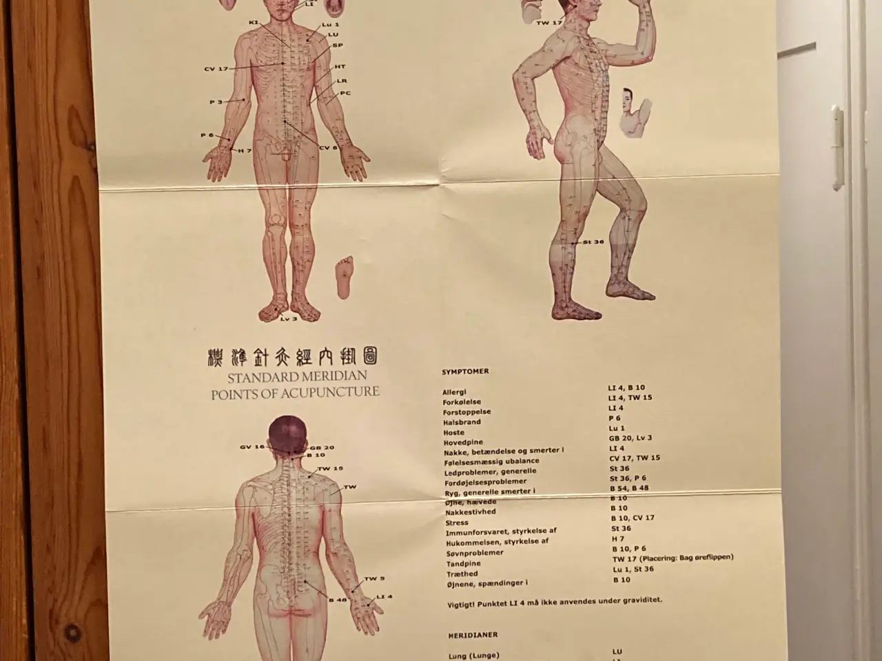 Billede 1 - Plakat med akupunkturpunkter incl. tryk-pen