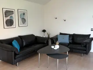 Lædersofaer - 3 + 2 personer